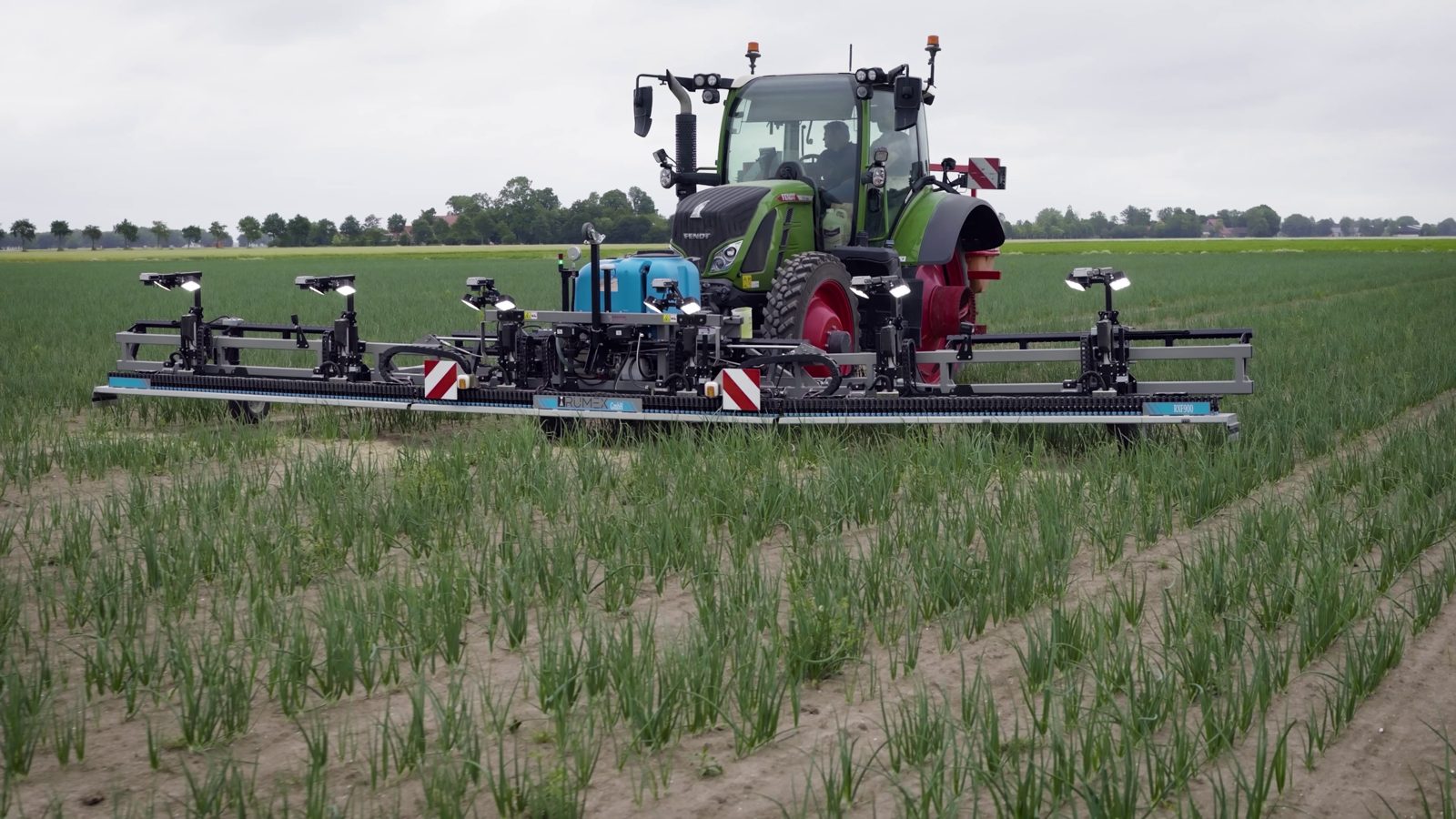 RUMEX RXF900 in un campo di cipolle
